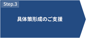 STEP3 具体策形成のご支援