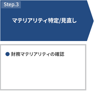 STEP3 マテリアリティ特定/見直し ・財務マテリアリティの確認
