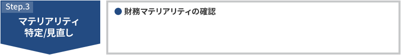 STEP3 マテリアリティ特定/見直し ・財務マテリアリティの確認